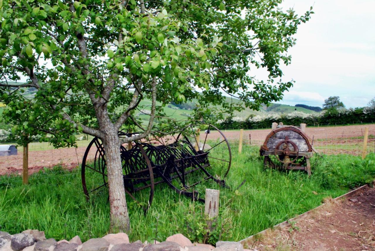 Eco Cottage Joe The Buck 크래븐 암즈 외부 사진